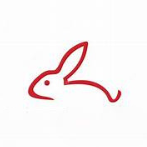 International clever Rabbit